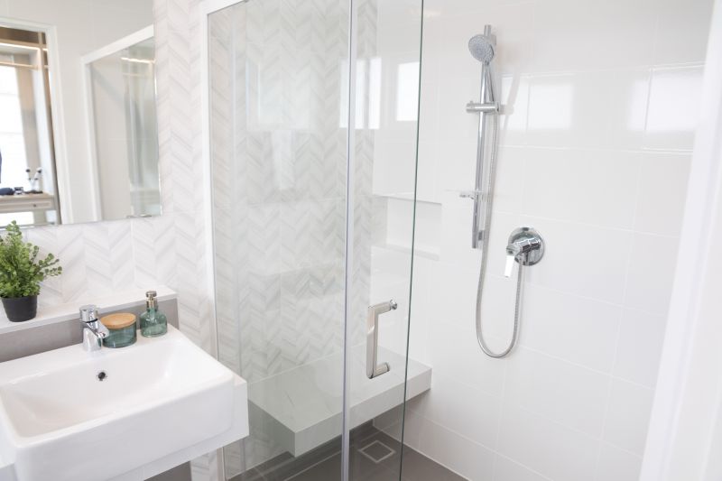 Elegant Shower with Niche Storage
